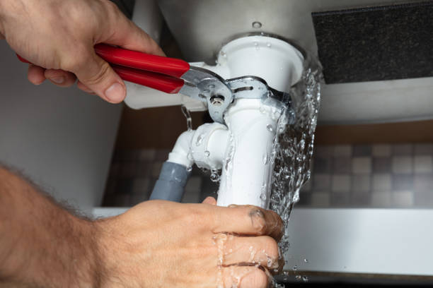 Best Commercial water damage restoration  in Excelsior, MN