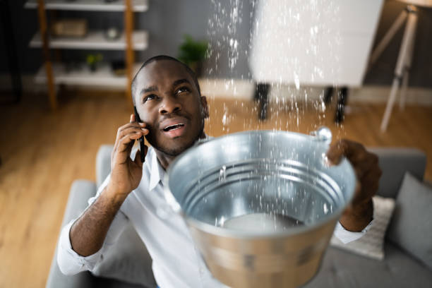 Best Water damage repair service  in Excelsior, MN