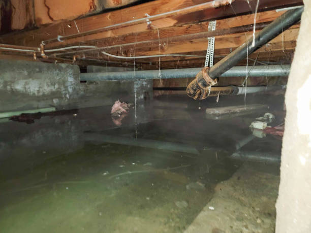 Best 24-hour water damage restoration  in Excelsior, MN
