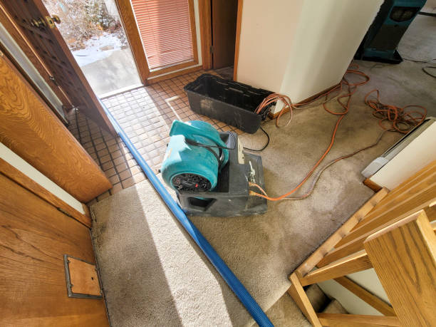 Best Basement water damage restoration  in Excelsior, MN
