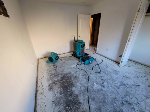 Best Basement water damage restoration  in Excelsior, MN