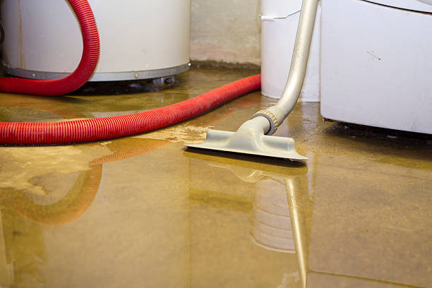 Reliable Excelsior, MN Water damage restoration Solutions