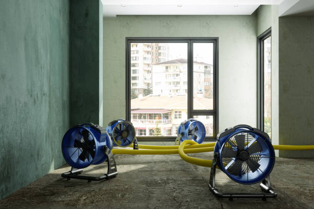 Sewage cleanup and water damage restoration in Excelsior, MN