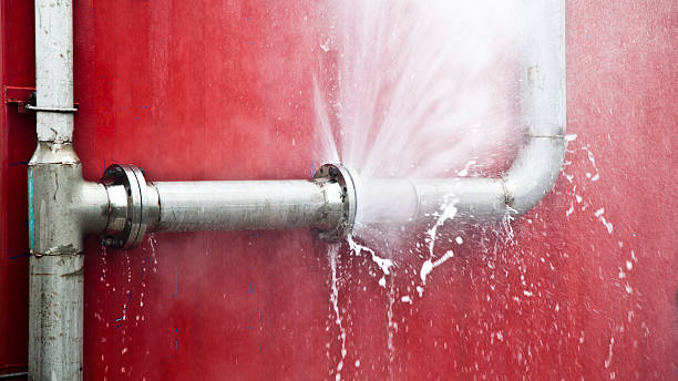 Best Water damage restoration near me  in Excelsior, MN